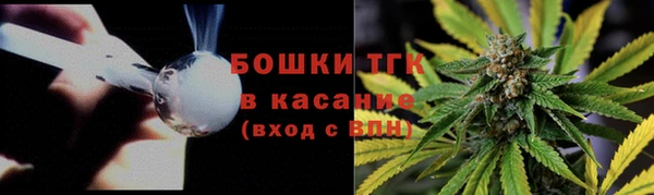 твердый Аркадак