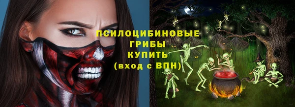 твердый Аркадак