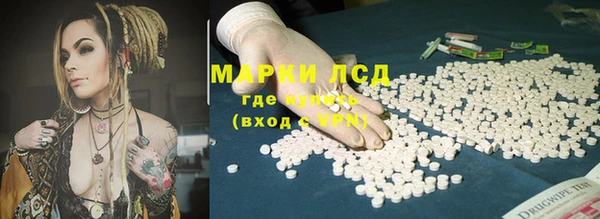 твердый Аркадак